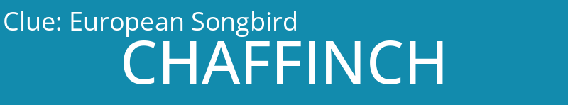 European Songbird