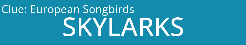 European Songbirds