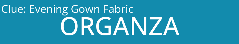 Evening Gown Fabric