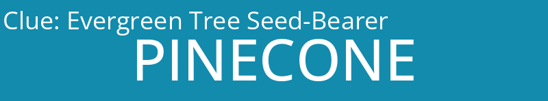 Evergreen Tree Seed-Bearer