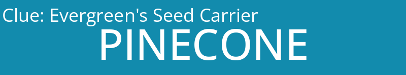 Evergreen's Seed Carrier