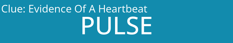 Evidence Of A Heartbeat