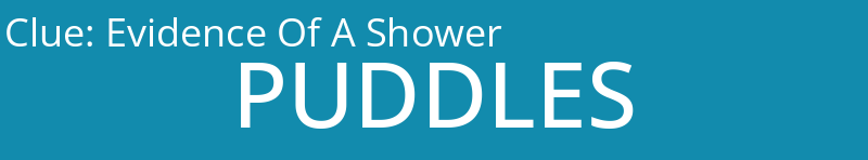 Evidence Of A Shower