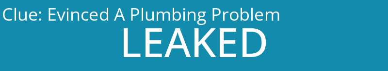 Evinced A Plumbing Problem