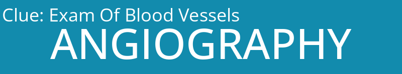 Exam Of Blood Vessels