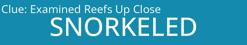 Examined Reefs Up Close