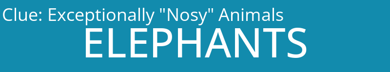 Exceptionally "Nosy" Animals