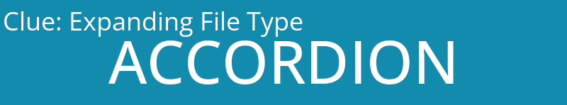 Expanding File Type