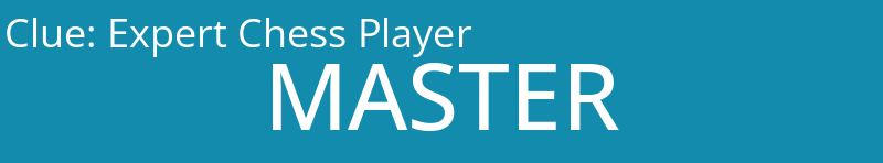 Expert Chess Player