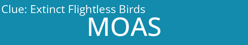 Extinct Flightless Birds