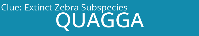 Extinct Zebra Subspecies