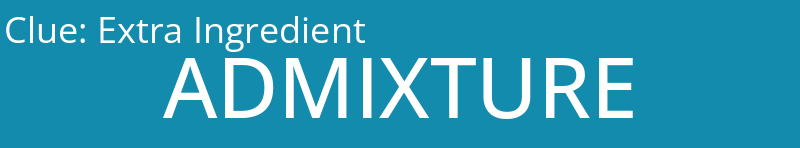 Extra Ingredient