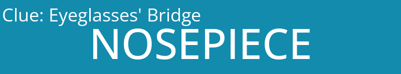 Eyeglasses' Bridge