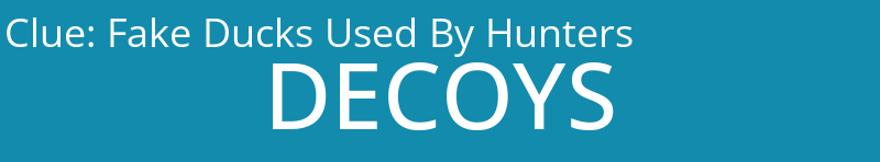 Fake Ducks Used By Hunters