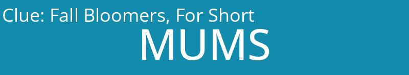 Fall Bloomers, For Short