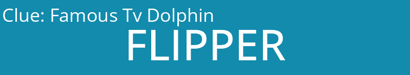 Famous Tv Dolphin