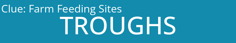Farm Feeding Sites