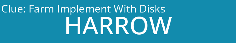 Farm Implement With Disks