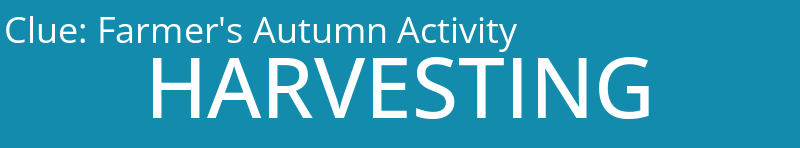 Farmer's Autumn Activity