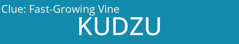 Fast-Growing Vine