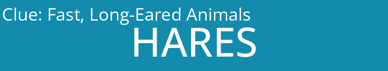 Fast, Long-Eared Animals