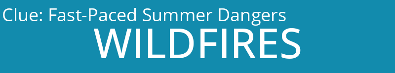 Fast-Paced Summer Dangers