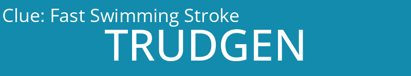 Fast Swimming Stroke