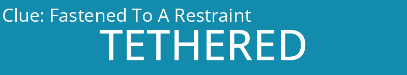 Fastened To A Restraint