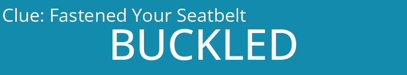 Fastened Your Seatbelt