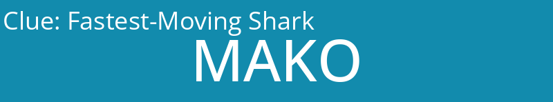 Fastest-Moving Shark