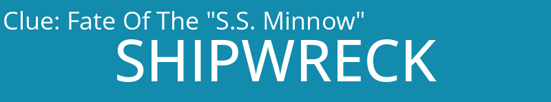 Fate Of The "S.S. Minnow"
