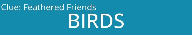 Feathered Friends