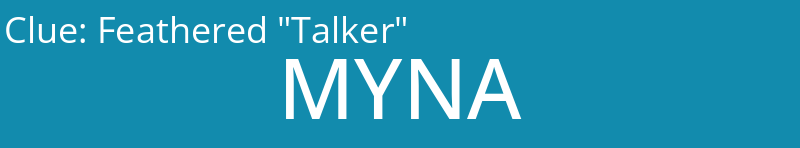 Feathered "Talker"