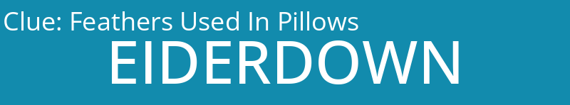 Feathers Used In Pillows