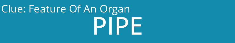 Feature Of An Organ