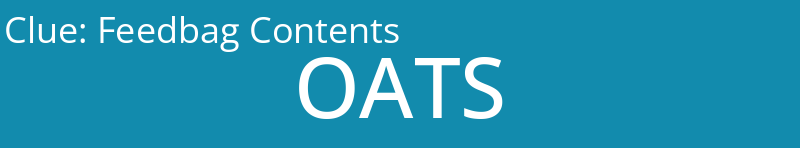 Feedbag Contents