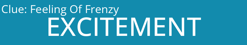 Feeling Of Frenzy