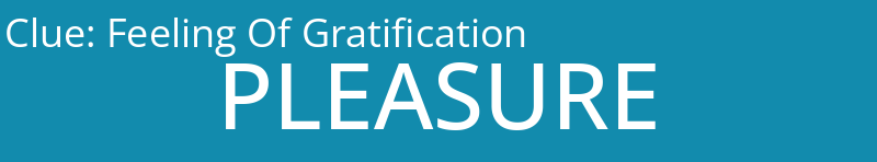 Feeling Of Gratification