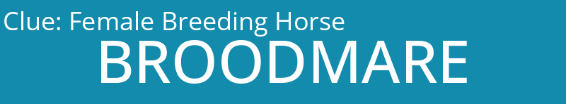 Female Breeding Horse