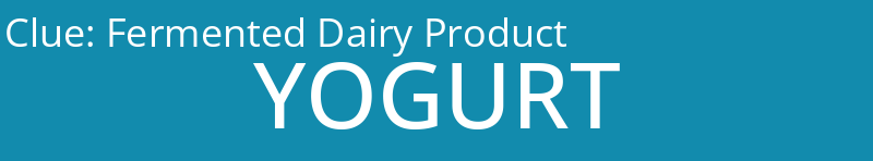 Fermented Dairy Product