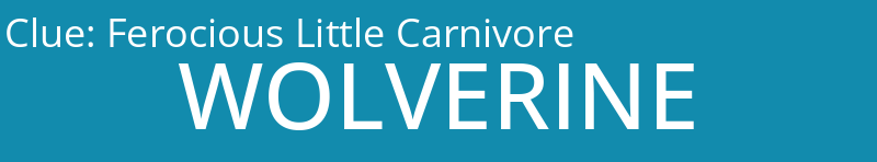 Ferocious Little Carnivore