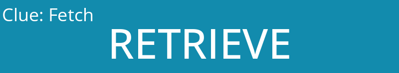 Fetch