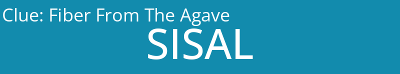 Fiber From The Agave