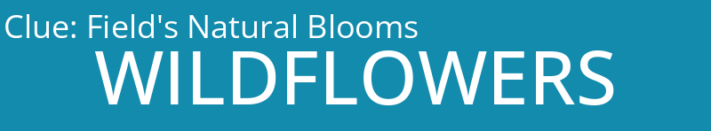 Field's Natural Blooms