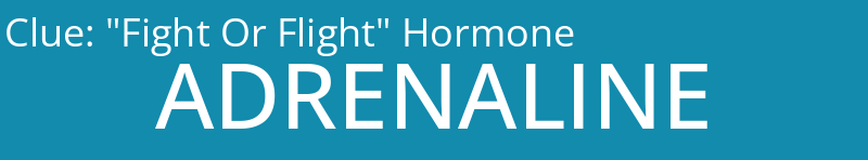 "Fight Or Flight" Hormone