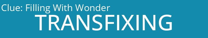 Filling With Wonder