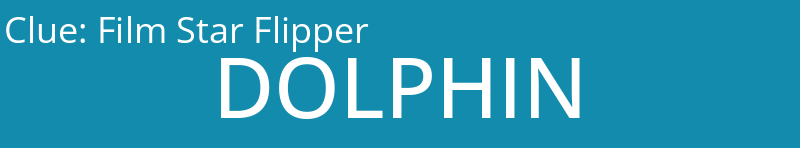 Film Star Flipper