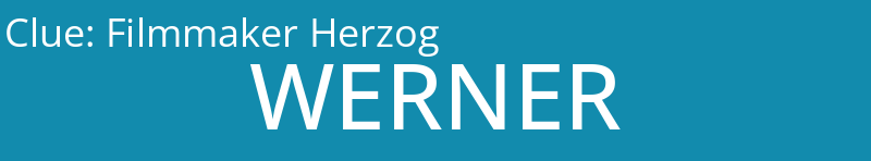 Filmmaker Herzog