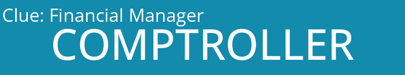 Financial Manager