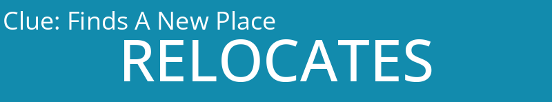 Finds A New Place
